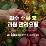 팜모닝 사과·일상 게시글 이미지