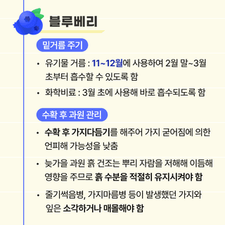 팜모닝 농사도우미님의 사과 · 일상 작성글 사진