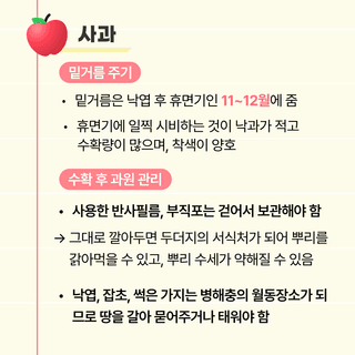 팜모닝 농사도우미님의 사과 · 일상 작성글 사진