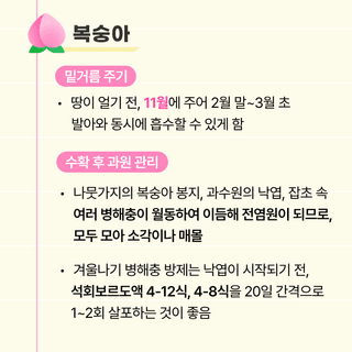 팜모닝 농사도우미님의 사과 · 일상 작성글 사진