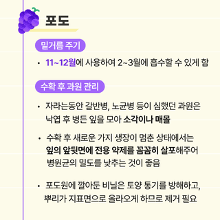 팜모닝 농사도우미님의 사과 · 일상 작성글 사진