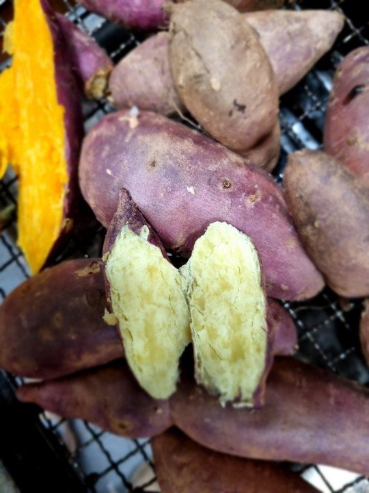 소종섭님의 장터 판매 상품 [햅쌀 밥맛최고인 황실경기미 누룽지맛나는쌀 ] 첨부 사진