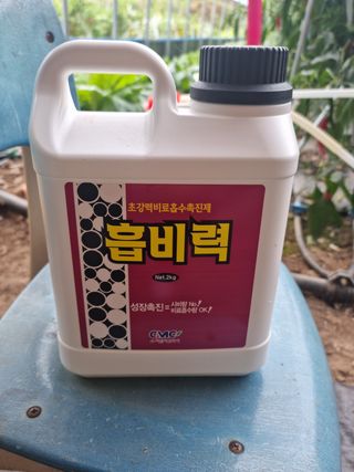 권오천님의 상추 · 영농일지 작성글 사진