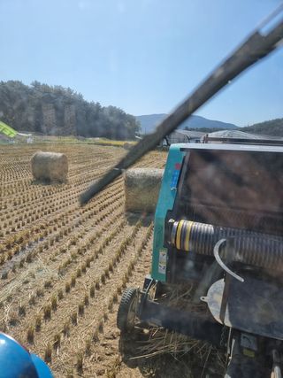 정영기대산축산농부♡님의 벼 · 영농일지 작성글 사진