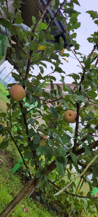 김중언님의 자유주제 · 자유게시판 작성글 사진