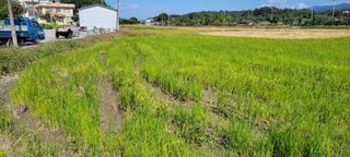 김중언님의 자유주제 · 자유게시판 작성글 사진