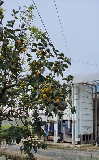 김중언님의 자유주제 · 자유게시판 작성글 사진