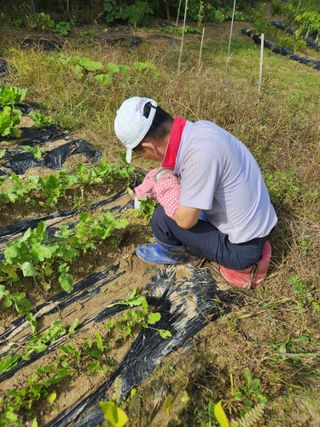 고영희님의 작목반 소개하고 지원받기 · 참여글 작성글 사진