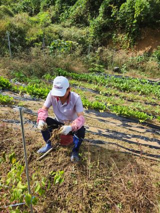 고영희님의 작목반 소개하고 지원받기 · 참여글 작성글 사진