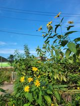 팜모닝 작목반 소개하고 지원받기·참여글 게시글 이미지