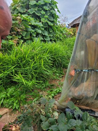 박산숙농부님의 작목반 소개하고 지원받기 · 참여글 작성글 사진