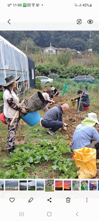 박산숙농부님의 작목반 소개하고 지원받기 · 참여글 작성글 사진