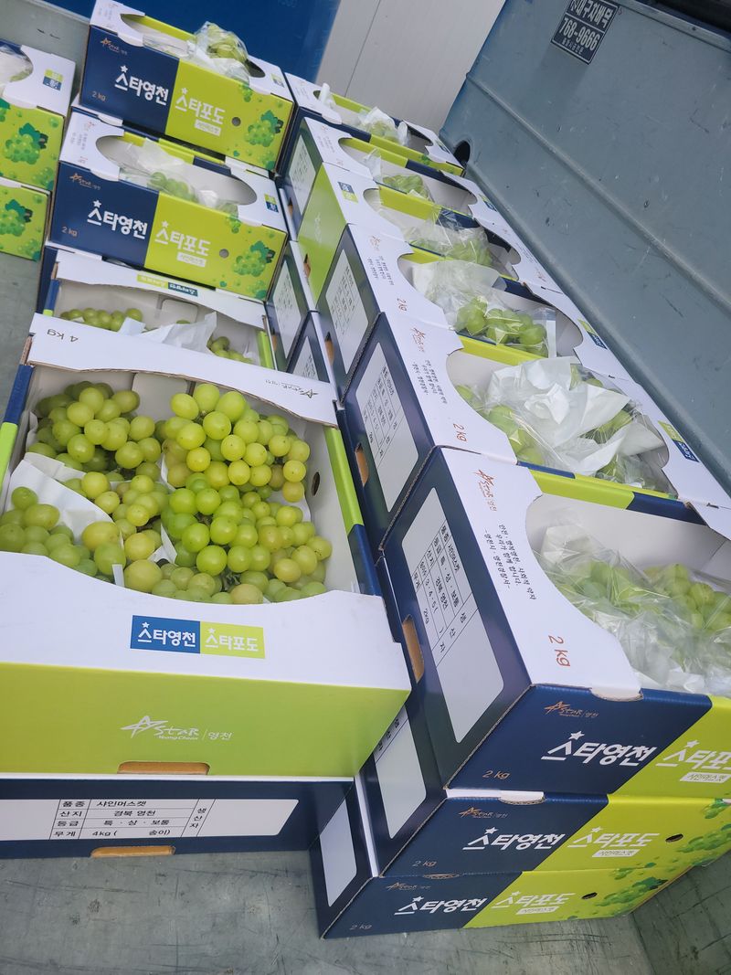 장터 상품 [샤인머스켓  2kg] 썸네일