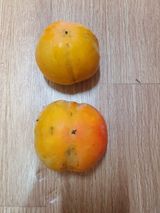 팜모닝 감·자유게시판 게시글 이미지