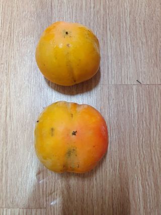 하양복숭님의 감 · 자유게시판 작성글 사진