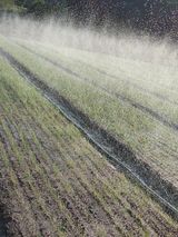 팜모닝 자유주제·자유게시판 게시글 이미지