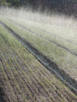 숲속의사나이님의 자유주제 · 자유게시판 작성글 사진