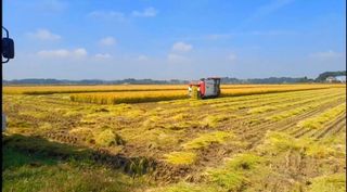 이미옥님의 작목반 소개하고 지원받기 · 참여글 작성글 사진