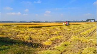 이미옥님의 작목반 소개하고 지원받기 · 참여글 작성글 사진