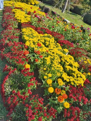 이현상님의 자유주제 · 자유게시판 작성글 사진