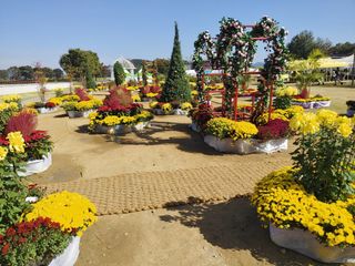 이현상님의 자유주제 · 자유게시판 작성글 사진