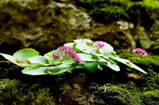 이현상님의 자유주제 · 자유게시판 작성글 사진