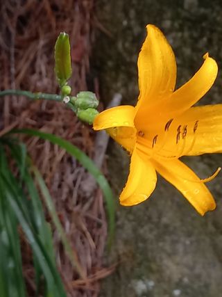 사구실첫집님의 작성글 사진