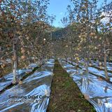 팜모닝 자유주제·자유게시판 게시글 이미지