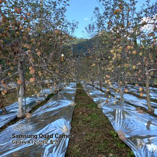 최동구님의 자유주제 · 자유게시판 작성글 사진