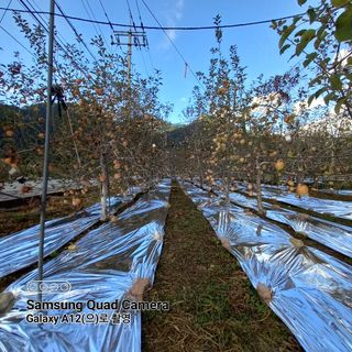 최동구님의 자유주제 · 자유게시판 작성글 사진