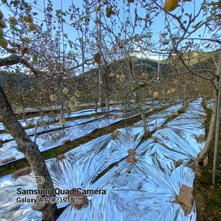 최동구님의 자유주제 · 자유게시판 작성글 사진
