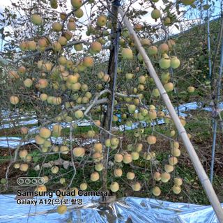 최동구님의 자유주제 · 자유게시판 작성글 사진