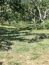 팜모닝 작목반 소개하고 지원받기·참여글 게시글 이미지