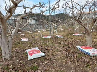 김년욱님의 작목반 소개하고 지원받기 · 참여글 작성글 사진
