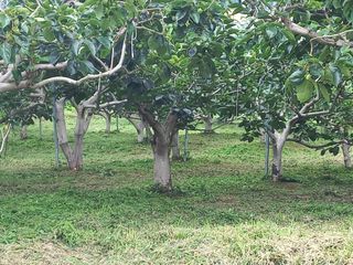 김년욱님의 작목반 소개하고 지원받기 · 참여글 작성글 사진