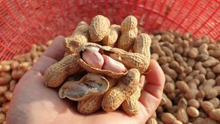 농부아내님의 작성글 사진