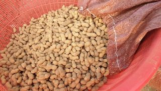 농부아내님의 작성글 사진