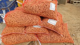 농부아내님의 작성글 사진