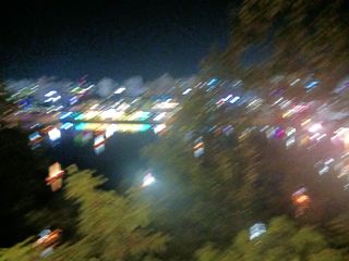 조현길님의 배추 · 일상 작성글 사진