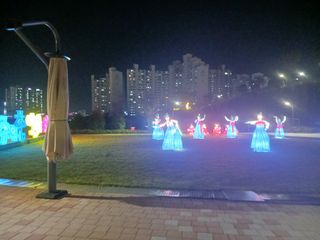 조현길님의 배추 · 일상 작성글 사진