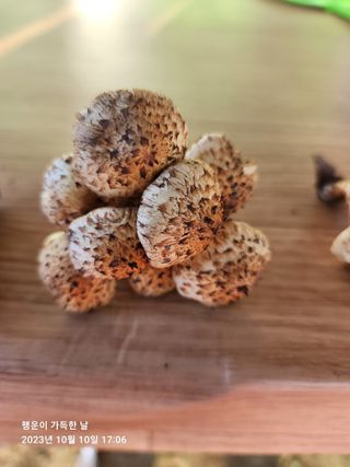 金鎭님의 자유주제 · 자유게시판 작성글 사진