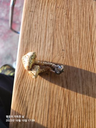 金鎭님의 자유주제 · 자유게시판 작성글 사진