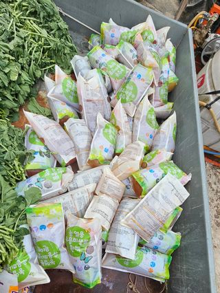 안나농부님의 배추 · 결구기 농작업 작성글 사진