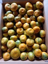 팜모닝 · 게시글 이미지