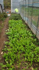 팜모닝 기타작물·자유게시판 게시글 이미지