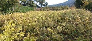 한학수님의 자유주제 · 자유게시판 작성글 사진