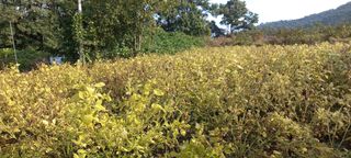 한학수님의 자유주제 · 자유게시판 작성글 사진