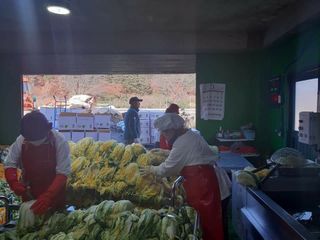 안나농부님의 작성글 사진