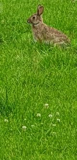 팜모닝 자유주제·사진전 게시글 이미지