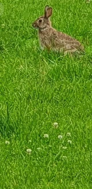 초록나무님의 자유주제 · 사진전 작성글 사진